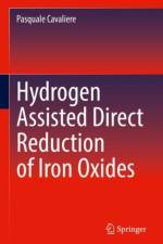 Hydrogen Assisted Direct Reduction of Iron Oxides af Pasquale Cavaliere