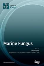 Marine Fungus