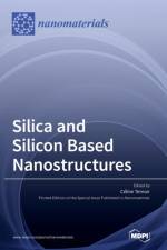 Silica and Silicon Based Nanostructures af Celine Ternon