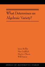 What Determines an Algebraic Variety? af Janos Kollar