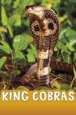 King Cobras