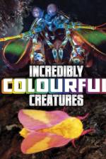 Incredibly Colourful Creatures af Megan Cooley Peterson