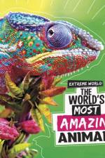 The World's Most Amazing Animals af Cari Meister
