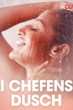 I chefens dusch - erotiska noveller