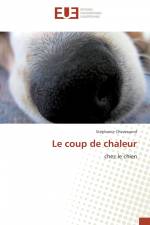 Le coup de chaleur af Stéphanie Chevessend