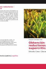 Obtención de azúcares reductores - Hidrólisis supercrítica af Itzayana González Avila