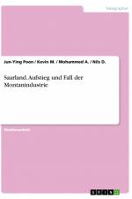 Saarland. Aufstieg und Fall der Montanindustrie af Jun-Ying Poon
