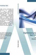 Optimierung der IT-Prozesse bei Energieversorgern af Stefan Hertzog