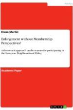 Enlargement without Membership Perspectives? af Elena Mertel