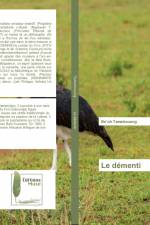 Le démenti af Bo'oh Tamekouong
