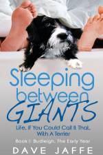 Sleeping between Giants af Dave Jaffe