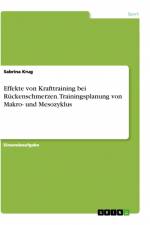 Effekte von Krafttraining bei Rückenschmerzen. Trainingsplanung von Makro- und Mesozyklus af Sabrina Krug