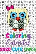 Coloring Calendar 2020 Cute Owls af Gumdrop Press