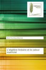 L'algèbre linéaire et le calcul matriciel af Mario Paul Ahues Blanchait