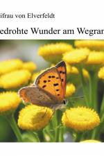 Bedrohte Wunder am Wegrand af Isa Freifrau von Elverfeldt