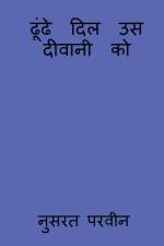 dhunde dil us deewani ko / ढूंढे दिल उस दीवानी क af Nusrat Parveen