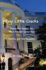 Tiny Little Cracks af Carol J. Graham