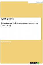 Budgetierung als Instrument des operativen Controlling af Iryna Kopiyevska