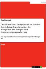 Die Rohstoff-und Energiepolitik im Zeitalter der globalen Transformation der Weltpolitik. Die Energie- und Stromversorgungssicherung af Ilya Zarrouk