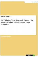 Die Türkei auf dem Weg nach Europa - Die wirtschaftlichen Anforderungen eines EU-Beitritts af Stefan Franke