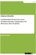 Gelenkwinkel-Normwerte in der dreidimensionalen Ganganalyse bei Menschen über 65 Jahren af Johannes Scheufele