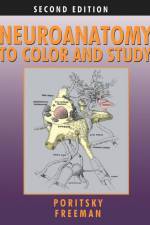 Neuroanatomy to Color and Study af Ray Poritsky