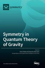 Symmetry in Quantum Theory of Gravity af Chris Fields