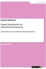 Prager Einzelhandel im Transformationsprozess af Paulina Holbreich