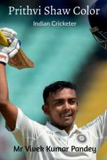 Prithvi Shaw Color af Vivek Pandey