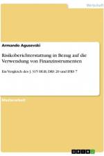 Risikoberichterstattung in Bezug auf die Verwendung von Finanzinstrumenten af Armando Agusevski