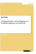 Lösungsstrategien zur Bewältigung von Fachkräfteengpässen im Handwerk af Resul Erdagi