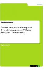 Von der Fremdwahrnehmung zum Hybridisierungsprozess. Wolfgang Koeppens 
