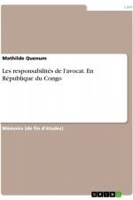 Les responsabilités de l'avocat. En République du Congo af Mathilde Quenum