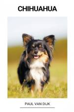 Chihuahua af Paul van Dijk