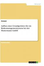 Aufbau eines Grundgerüstes für ein Risikomanagementsystem bei der Mustermann GmbH af Anonym