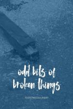 Odd Bits Of Broken Things af Todd Regoulinsky