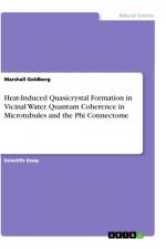 Heat-Induced Quasicrystal Formation in Vicinal Water. Quantum Coherence in Microtubules and the Phi Connectome af Marshall Goldberg