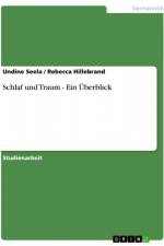 Schlaf und Traum - Ein Überblick af Rebecca Hillebrand