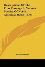 Descriptions Of The First Plumage In Various Species Of North American Birds (1879) af William Brewster