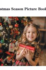 Christmas Season Picture Book af David Sechovicz