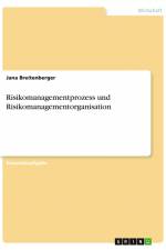Risikomanagementprozess und Risikomanagementorganisation af Jana Breitenberger