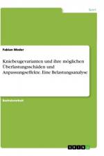 Kniebeugevarianten und ihre möglichen Überlastungsschäden und Anpassungseffekte. Eine Belastungsanalyse af Fabian Meder