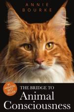 The Bridge to Animal Consciousness (paperback) af Annie Bourke