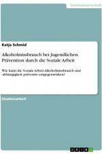 Alkoholmissbrauch bei Jugendlichen. Prävention durch die Soziale Arbeit af Katja Schmid