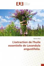 L'extraction de l'huile essentielle de Lavandula angustifolia. af Maroua Riad