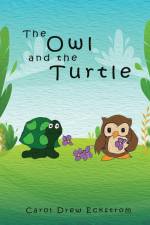 The Owl and the Turtle af Carol Drew Eckstrom