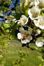 Genom dimmorna - Stor text af Robert James Lees