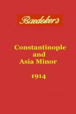 Baedeker's Constantinople af Michael Wild