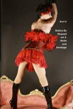 Erotica By Request vol 3 af Boot Ls