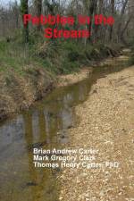 Pebbles in the Stream af Thomas Henry Carter
